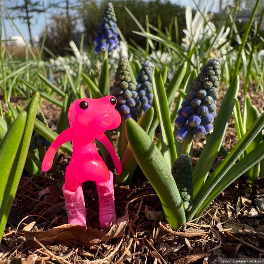 Цветовод-любитель головастик