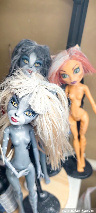 Восстановление. Жирные веркошки