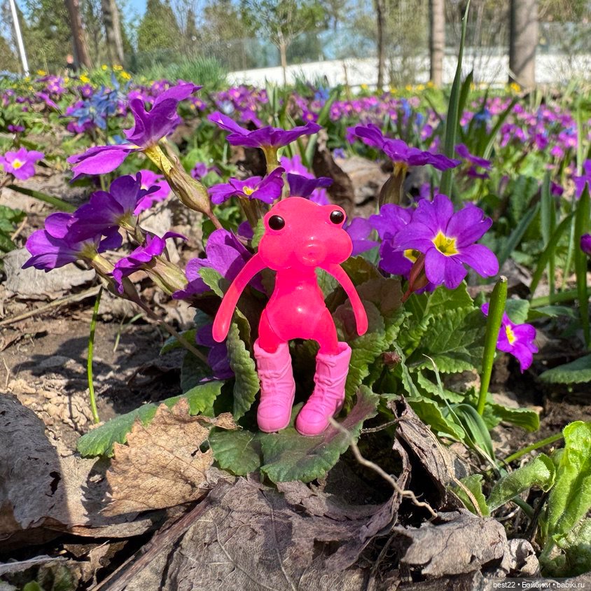 Цветовод-любитель головастик (фото 5)