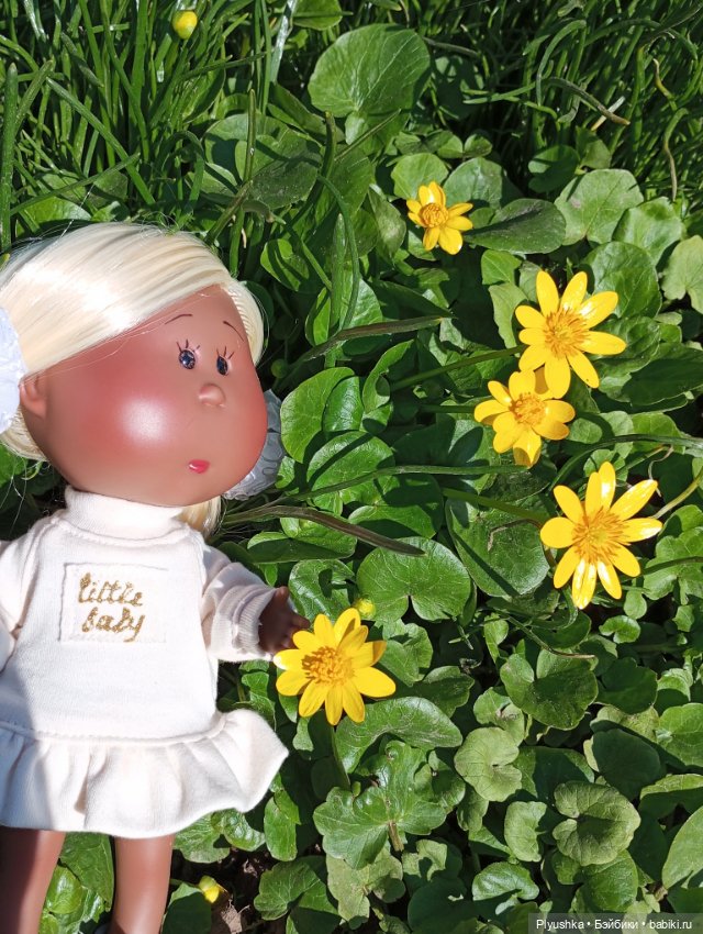 Прогулки с Мийкой помощницей (фото 8)