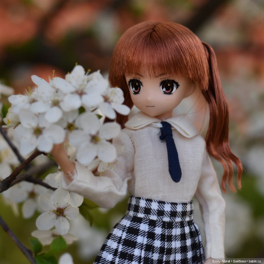 Фото-подборка: Первая вишня (фото 10)