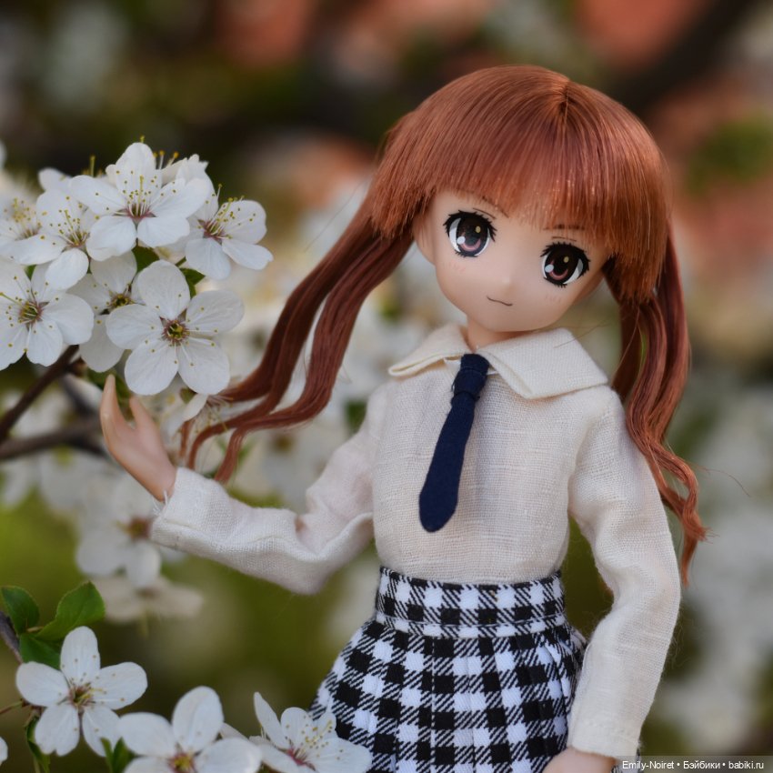 Фото-подборка: Первая вишня