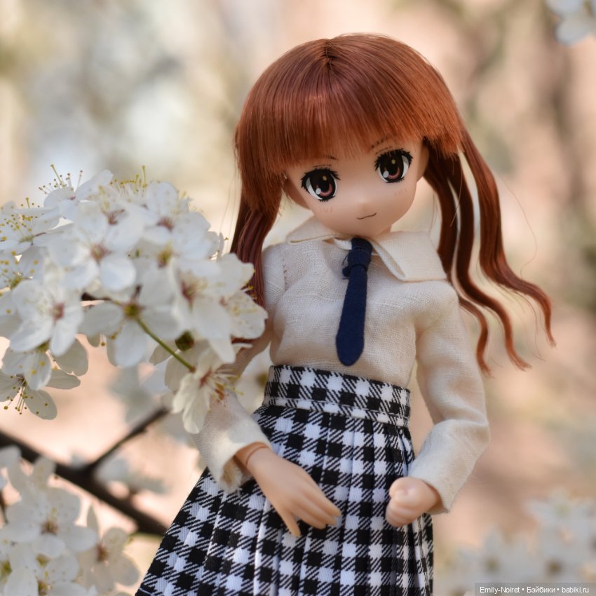 Фото-подборка: Первая вишня (фото 7)