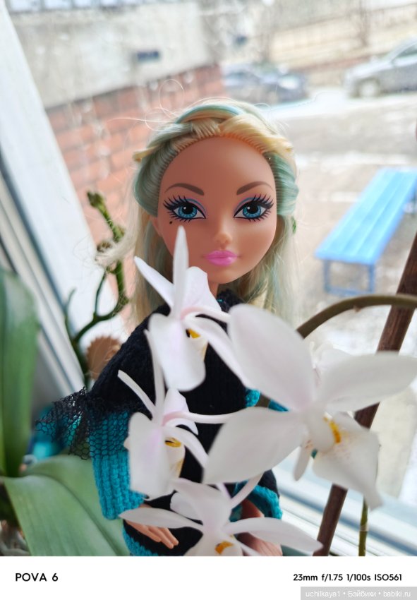 Мои жемчужинки — Куклы Monster High и Ever After High: G1