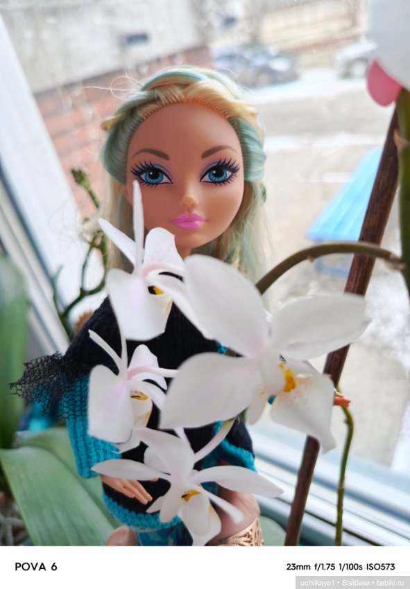 Мои жемчужинки — Куклы Monster High и Ever After High: G1