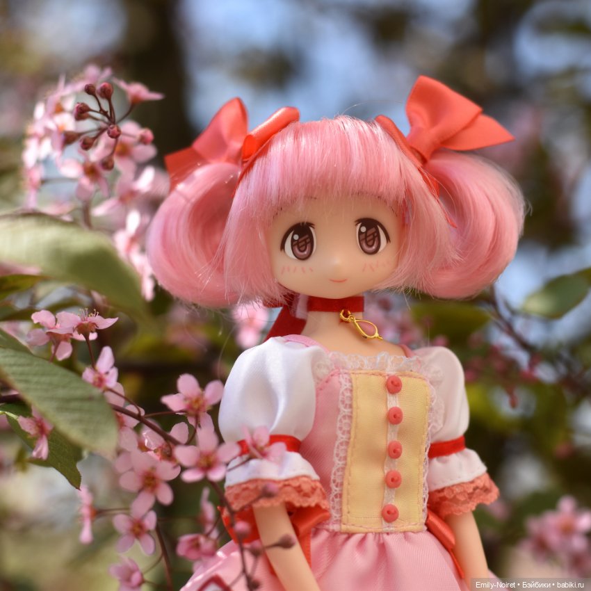 Фото-подборка: Розовая черемуха (фото 5)