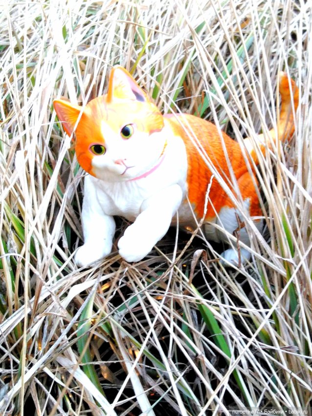 Про Нафочку. На встречу приключениям. Часть 3 (фото 3)