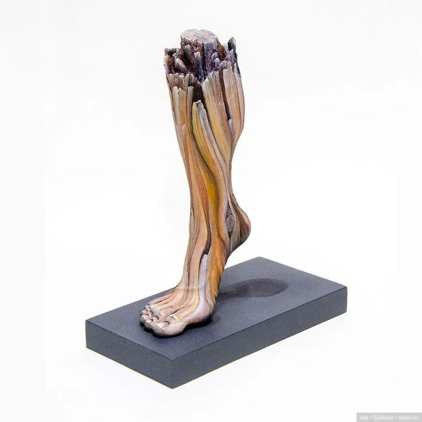 Работы Christopher David White (фото 3)