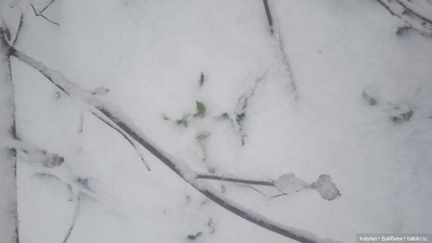 Клаустрофобия ч.3 Снег — Рисование и арт: скетчи