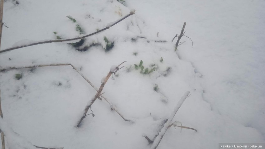 Клаустрофобия ч.3 Снег — Рисование и арт: скетчи