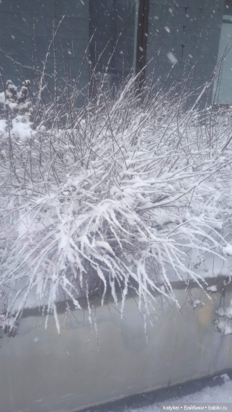 Клаустрофобия ч.3 Снег — Рисование и арт: скетчи