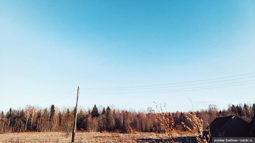 Дик. Любимое место — Экшн (фото 4)