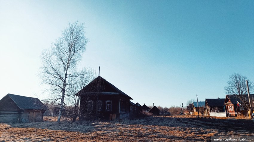 Дик. Любимое место — Экшн