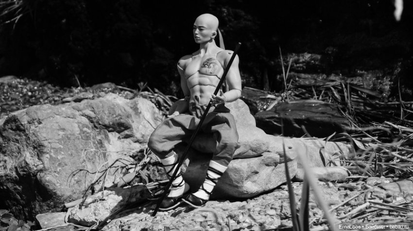 Монохром древности — Куклы Dart dolls (Анна Шиткина): российские BJD (БЖД) (фото 5)