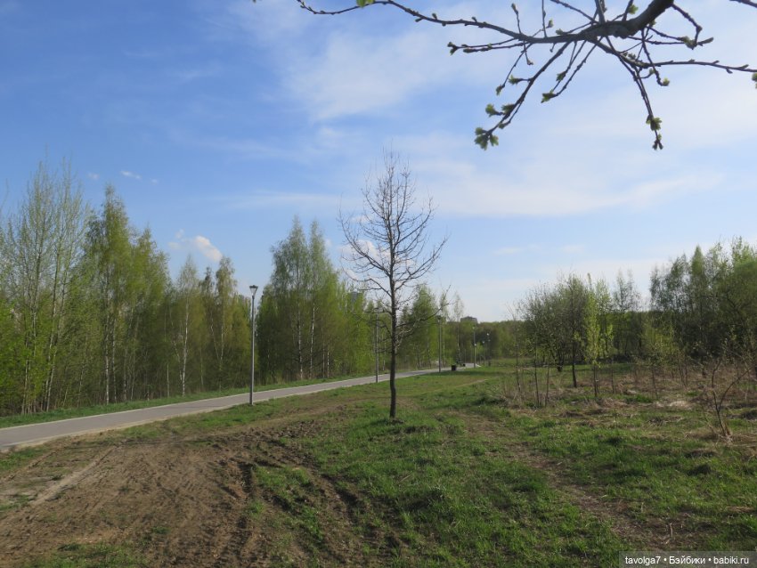 SnapStar Эхо и мятущийся апрель 2025