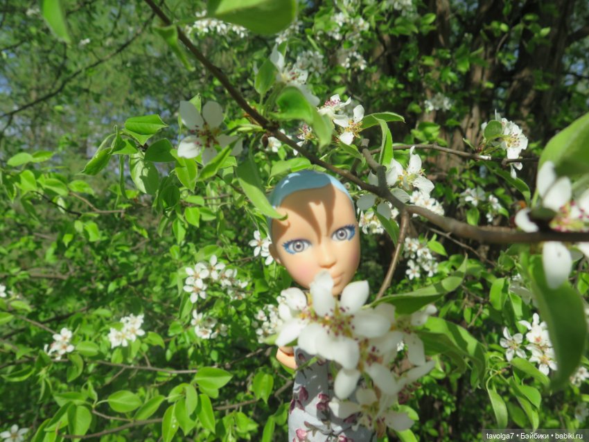 SnapStar Эхо и мятущийся апрель 2025 (фото 10)