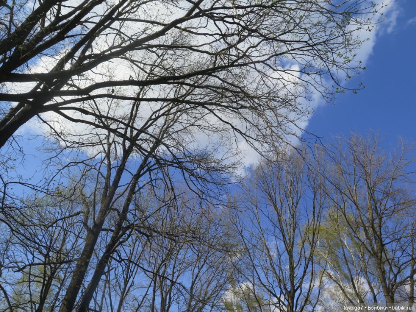 SnapStar Эхо и мятущийся апрель 2025