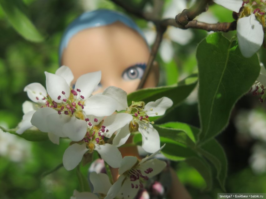 SnapStar Эхо и мятущийся апрель 2025