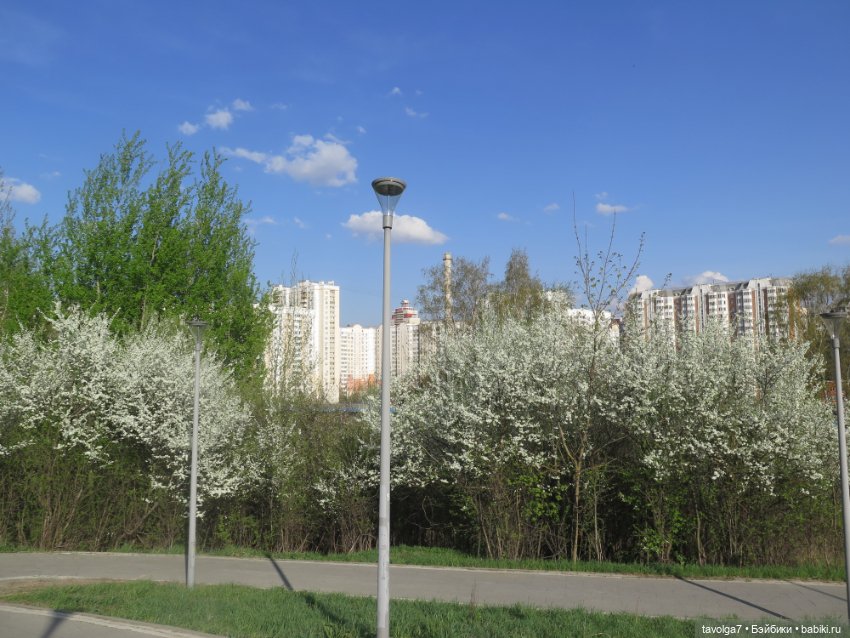 SnapStar Эхо и мятущийся апрель 2025