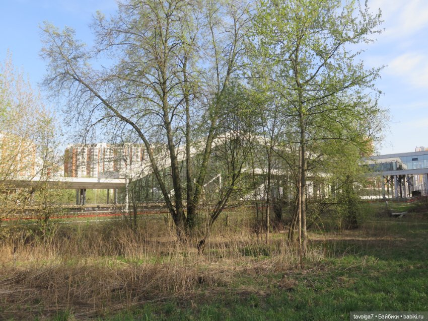 SnapStar Эхо и мятущийся апрель 2025