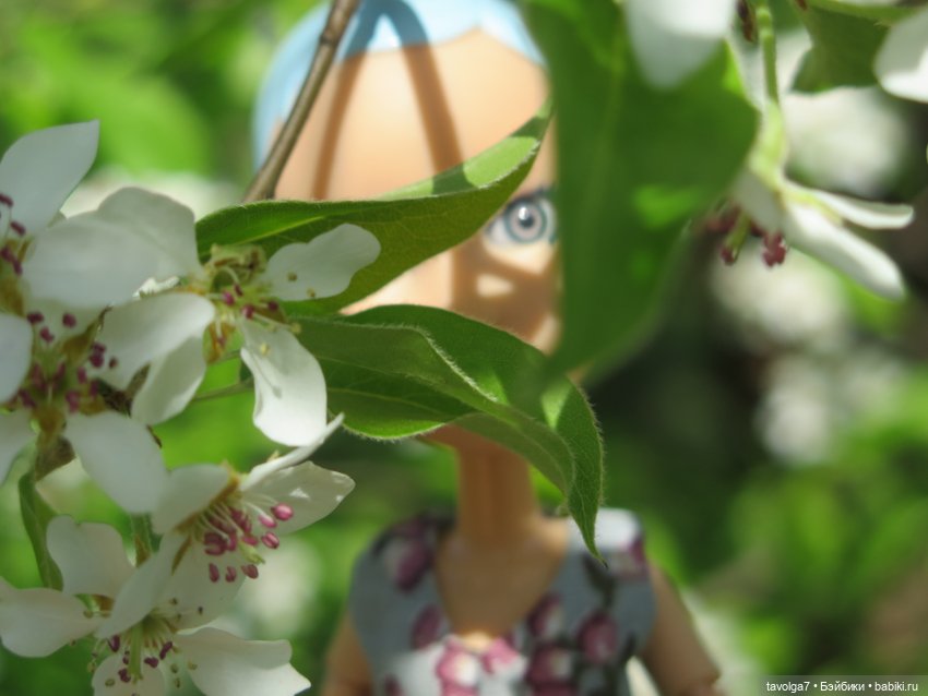 SnapStar Эхо и мятущийся апрель 2025