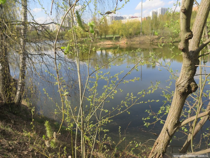 SnapStar Эхо и мятущийся апрель 2025 (фото 8)