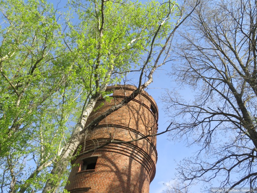 SnapStar Эхо и мятущийся апрель 2025