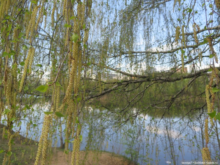 SnapStar Эхо и мятущийся апрель 2025 (фото 4)