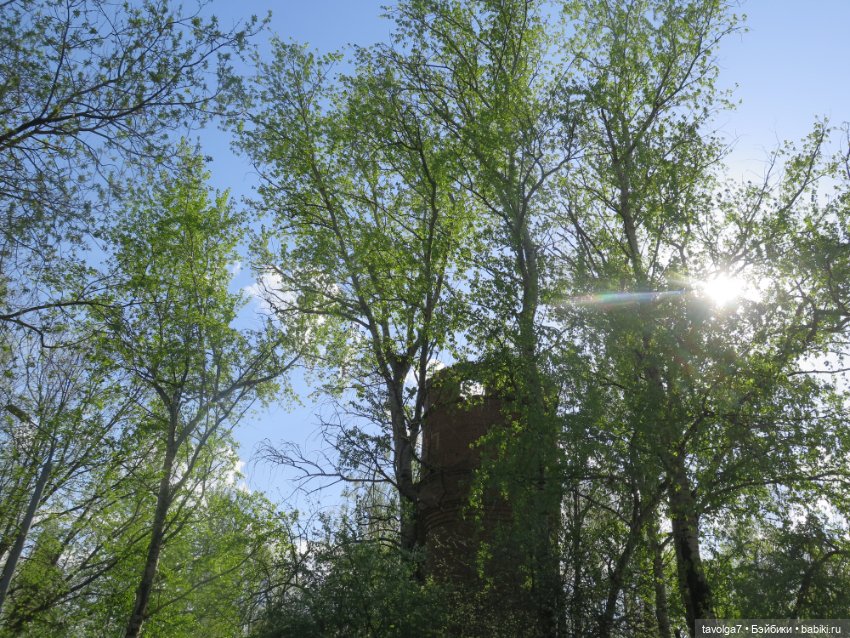 SnapStar Эхо и мятущийся апрель 2025