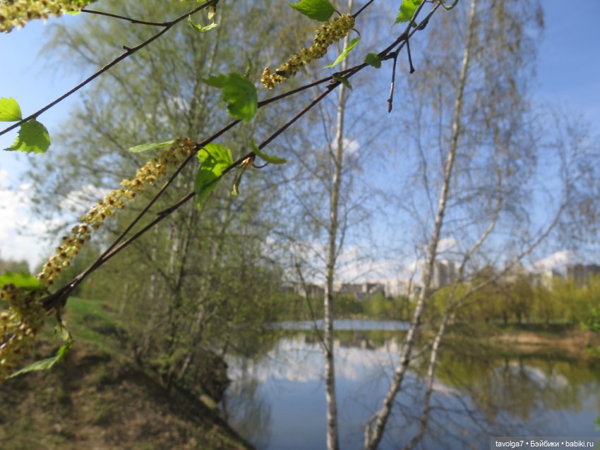 SnapStar Эхо и мятущийся апрель 2025 (фото 7)