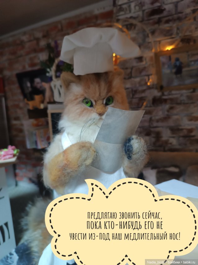 Кафе "Кошачья лапка": очередные перемены