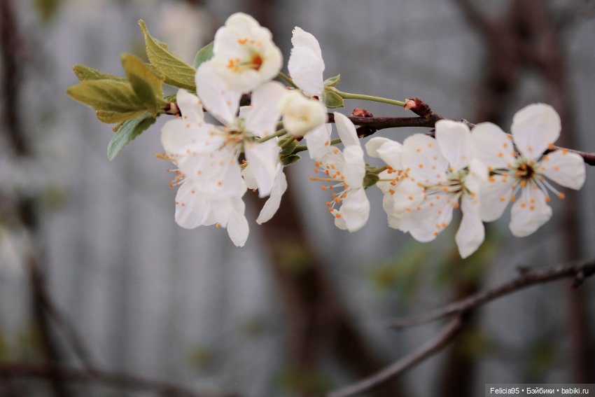 Весна с bratz Meygan genie magic 🌿💚