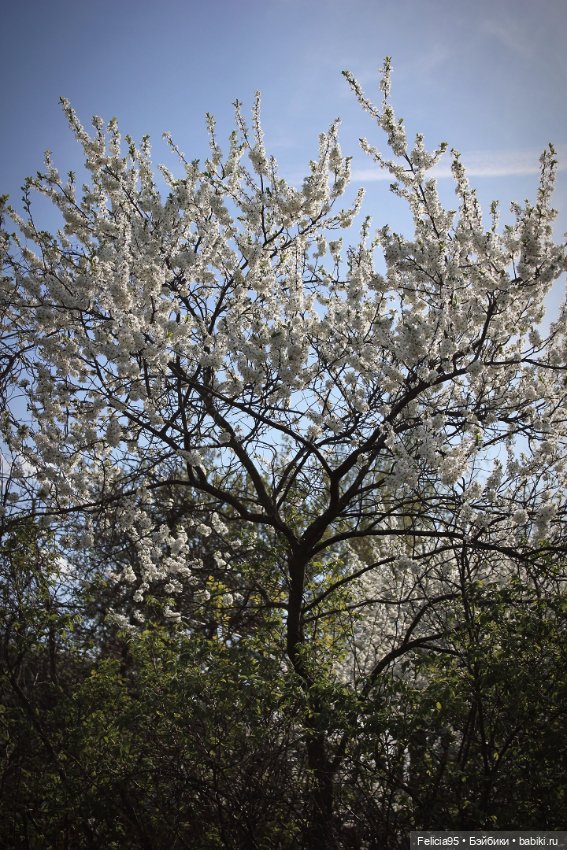 Весна с bratz Meygan genie magic 🌿💚 (фото 4)