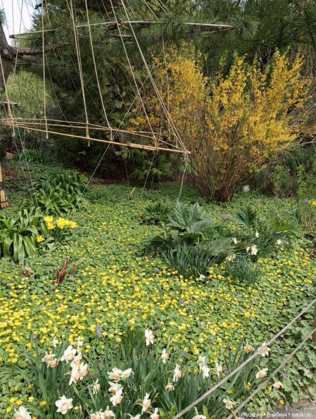 Про Марту — Домашние фото авторских кукол: личные коллекции