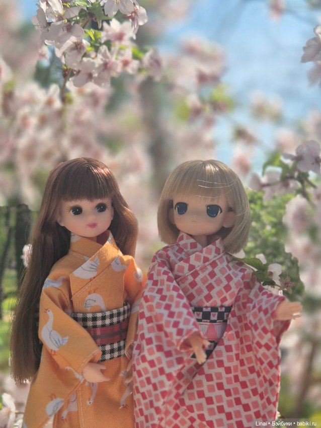 Как мы за сакурой ходили или Кимоно-пати