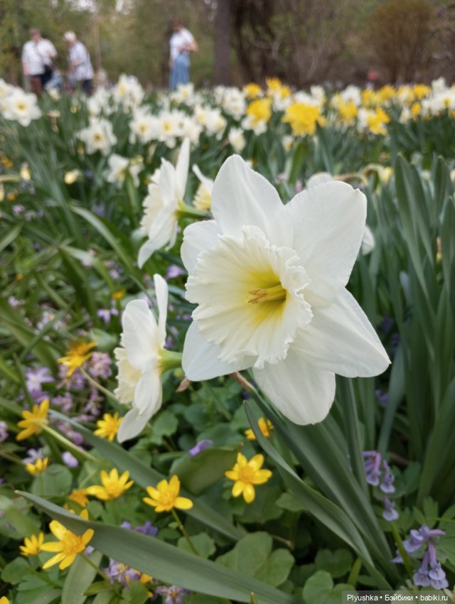 Про Марту — Домашние фото авторских кукол: личные коллекции