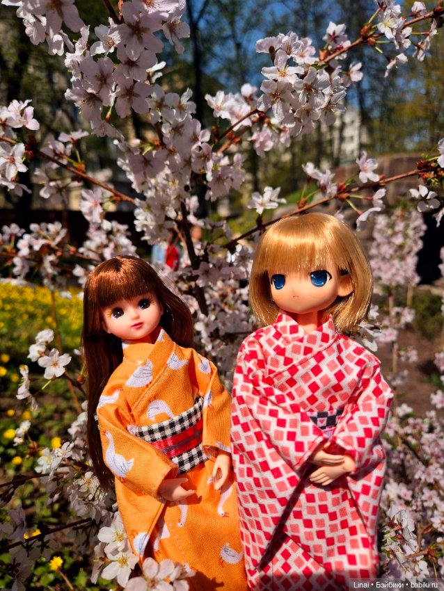 Как мы за сакурой ходили или Кимоно-пати