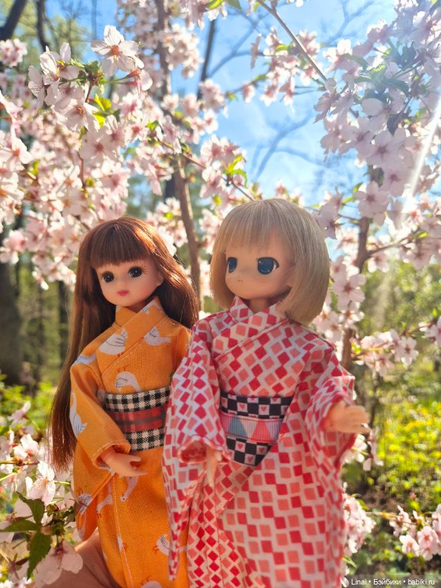 Как мы за сакурой ходили или Кимоно-пати