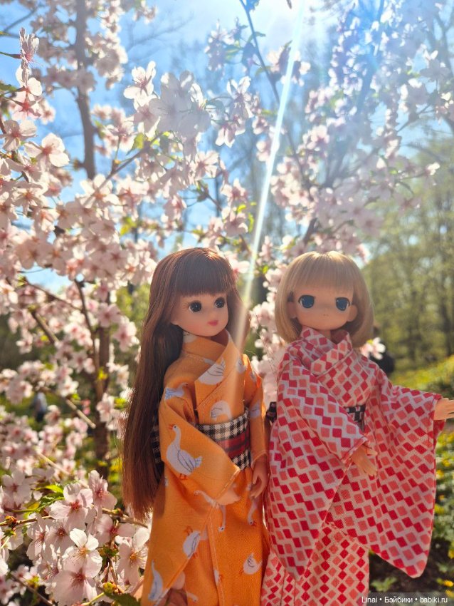 Как мы за сакурой ходили или Кимоно-пати