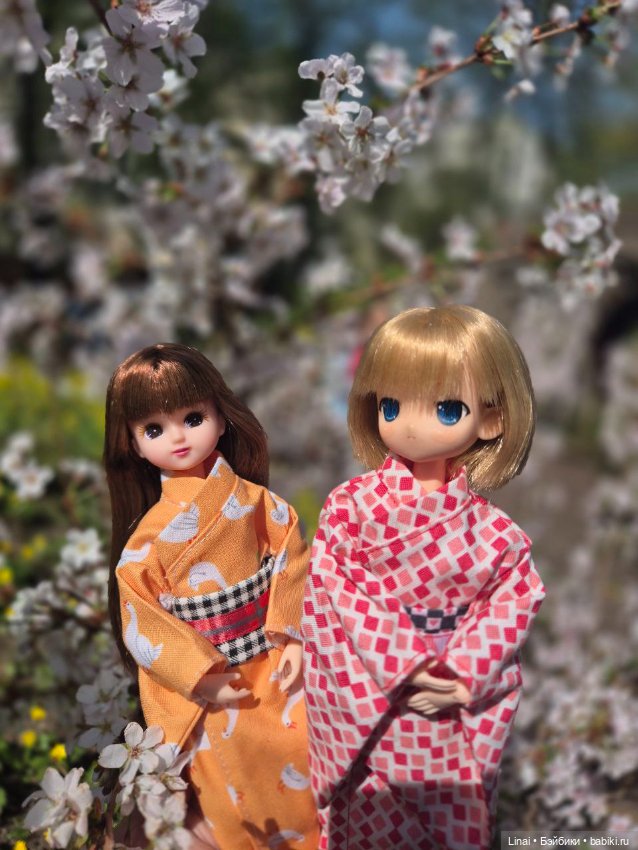 Как мы за сакурой ходили или Кимоно-пати