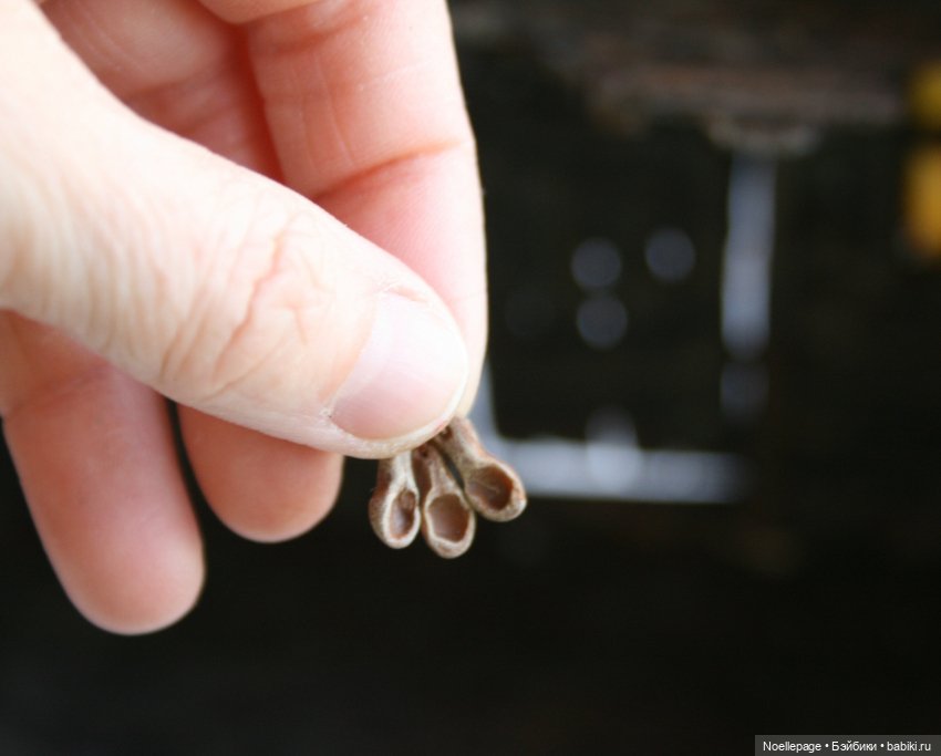 Дом нечисти. Процесс. 4-я часть