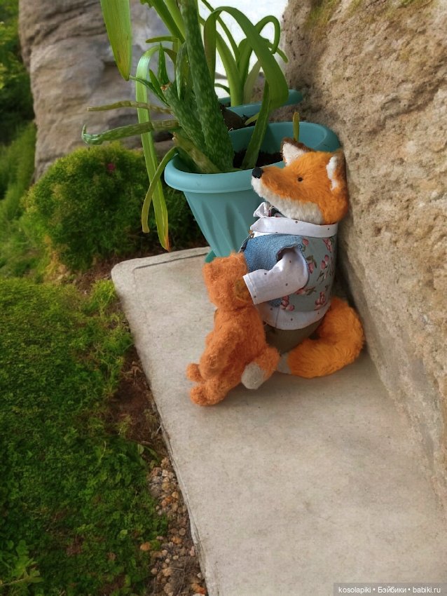 В гостях у маленькой лисы 🦊