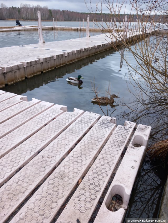 Традиция: До свидания "Руш"! Я буду скучать