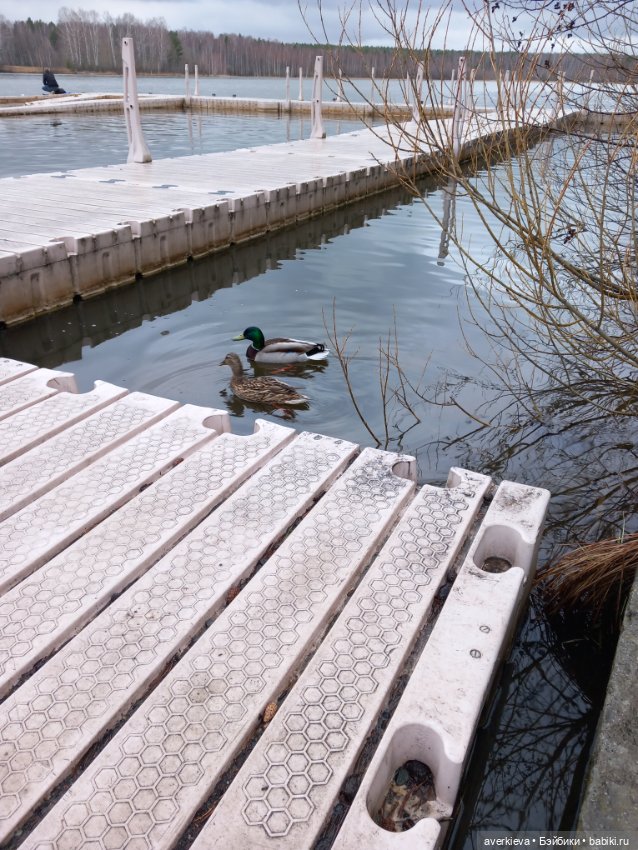 Традиция: До свидания "Руш"! Я буду скучать