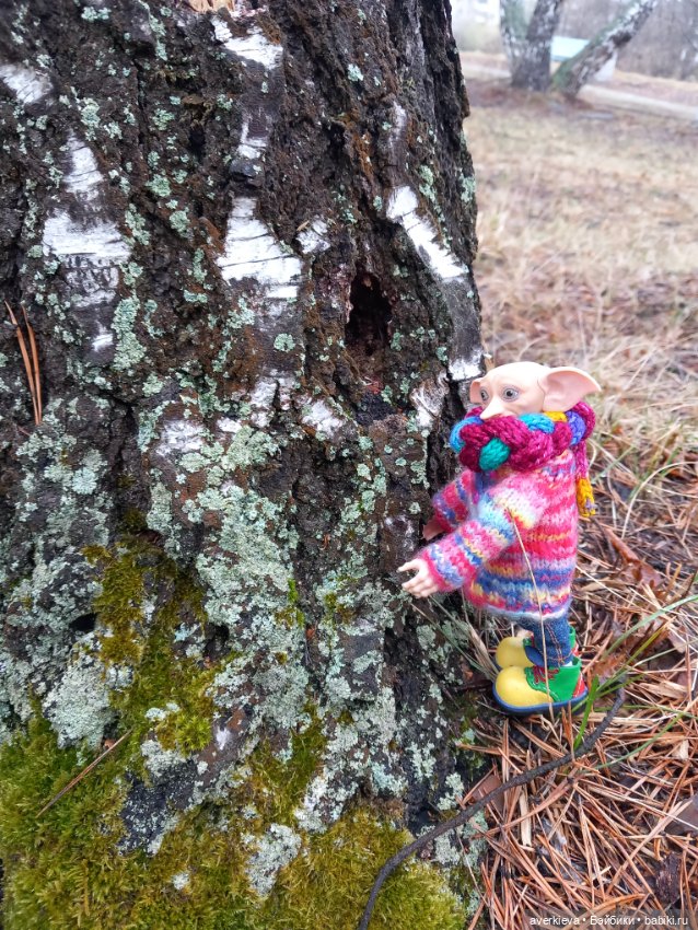 Традиция: До свидания "Руш"! Я буду скучать