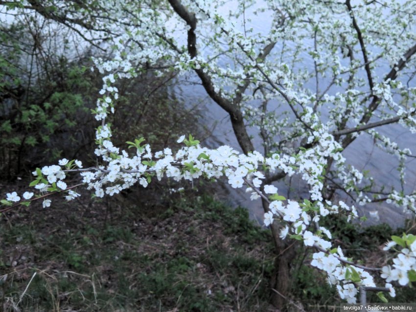 "Несёшь тревожное в март?" (фото 5)
