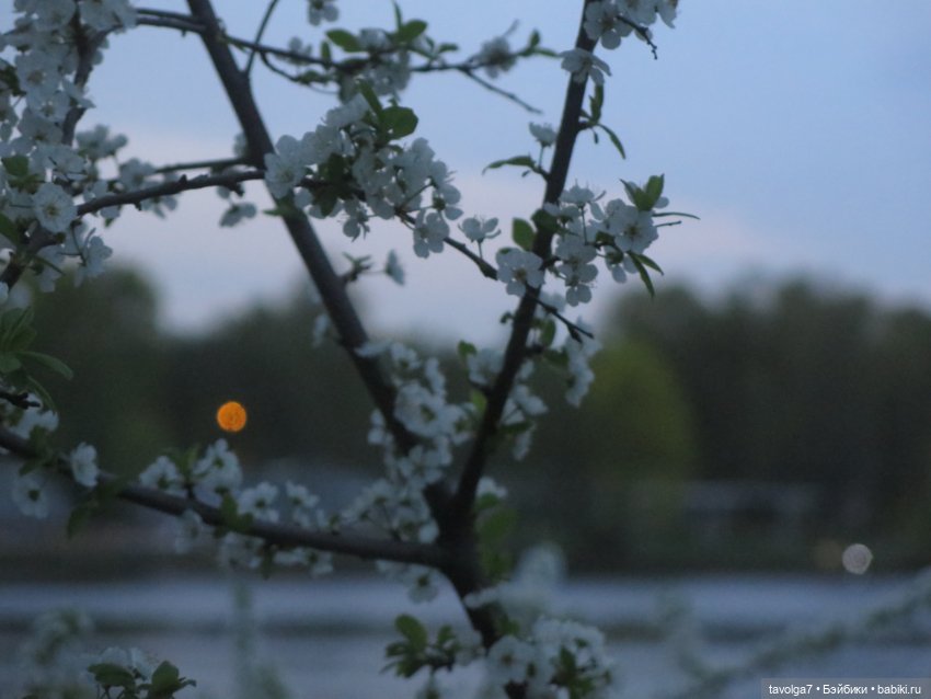 "Несёшь тревожное в март?"