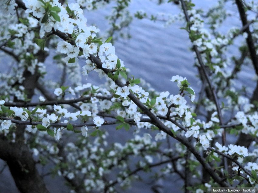 "Несёшь тревожное в март?"