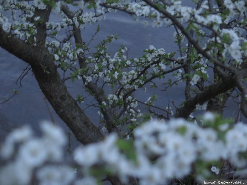 "Несёшь тревожное в март?" (фото 7)