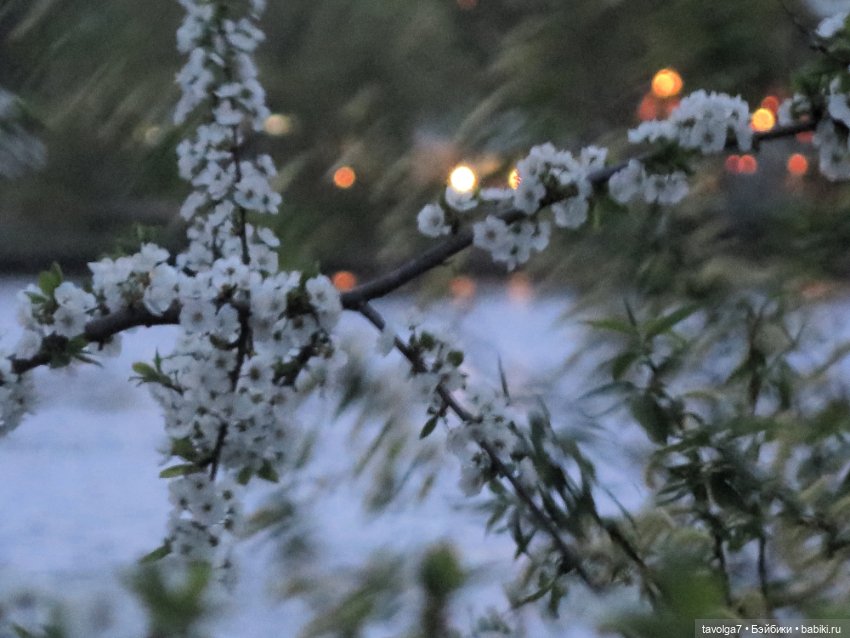 "Несёшь тревожное в март?"